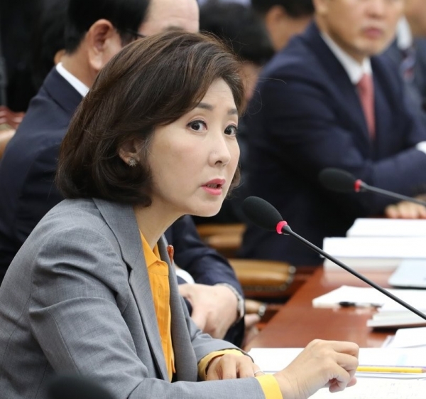 Na Kyung-won, who once again brought up ‘Hungary’s low birth rate measures’: 2 million won loan if you get married and debt forgiveness if you give birth